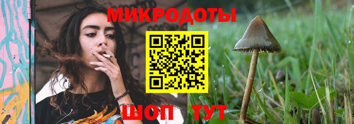 Зерноград  Псилоцибиновые грибы Psilocybine cubensis  Вход с VPN 
