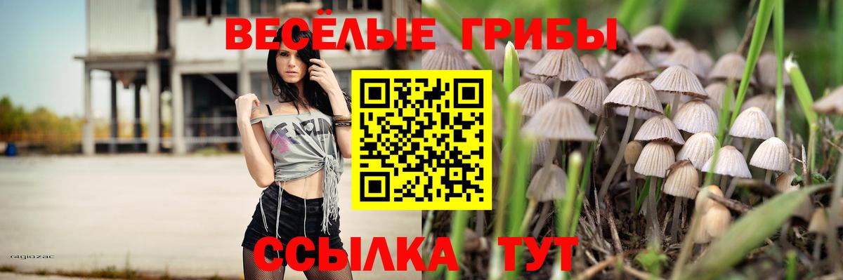 Псилоцибиновые грибы Psilocybine cubensis Зерноград